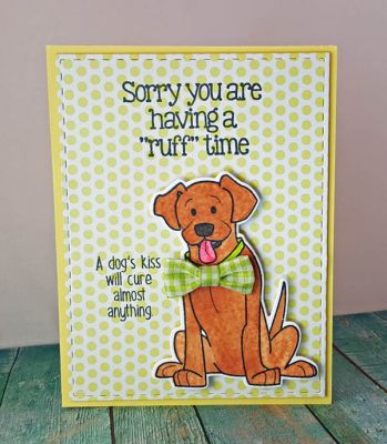 *ruff time
also stitched border die set. all products TSOL.
