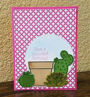 birthdaysucculent.jpg