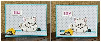 catslidercard.jpg