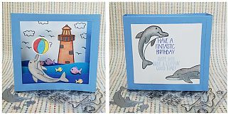 dolphinshadowbox.jpg