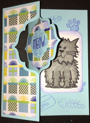 Regal Flip-its Cat2stamp outside card
