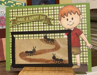 Ken�s Ant farm
