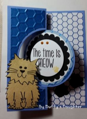 meow time
