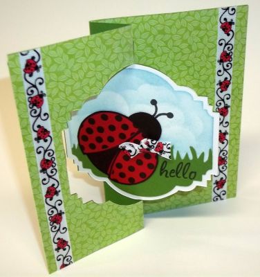 Hello Ladybug
A fun any occasion card! My friend and I who I met thru a swap on YT, decided to do a monthly card swap using our TSOL stamp sets and this is my card that I am sending to her for May!
Keywords: Hello, ladybug