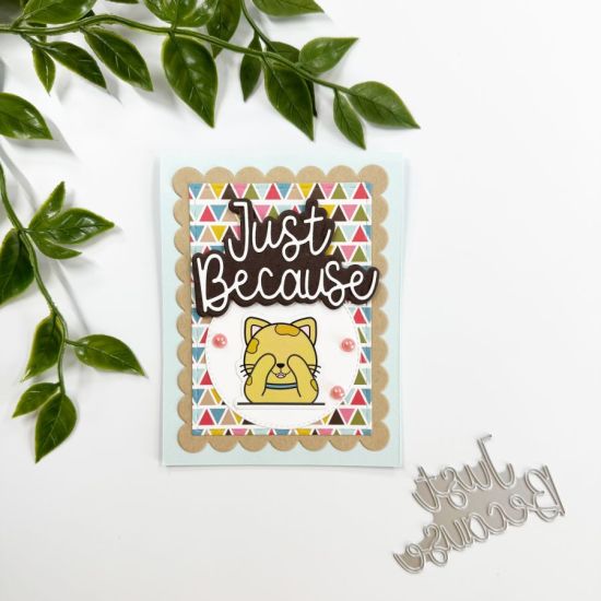 May_HSN_Melissa_Best_Yet_2.JPEG