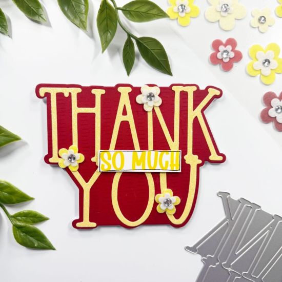 May_HSN_Thank_You_3.JPEG