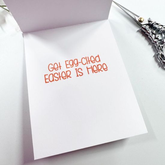PicTapGo-2025-02-14-191843
