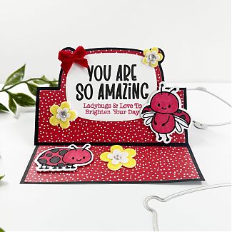 May_HSN_Delightful_STand_Melissa_2.JPEG