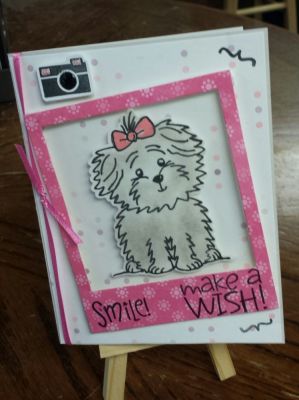 Picture Perfect Birthday
Used camera2stamp and birthday4cookie. Also used clear acetate in picture frame to look like real glass in frame.
