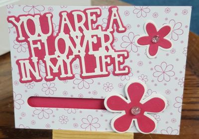 You Are A Flower In My Life 
Also used penny slider 
