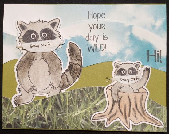 Raccoon2love
Hope your day is wild...stay safe
