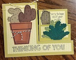 20170115_074807.jpg