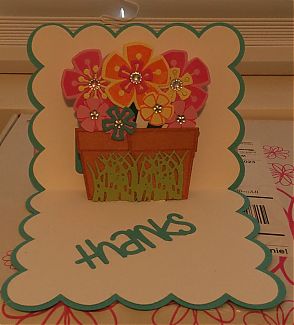 IMG_1713.JPG