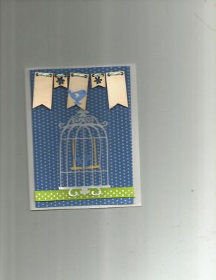 Birdcage (generic)
