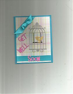 Bird_cage__1.jpg