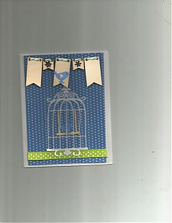 Birdcage.jpg