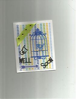 bird_cage__2.jpg
