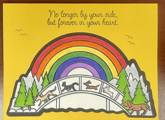 Rainbow Bridge2stamp
Pet Sympathy
