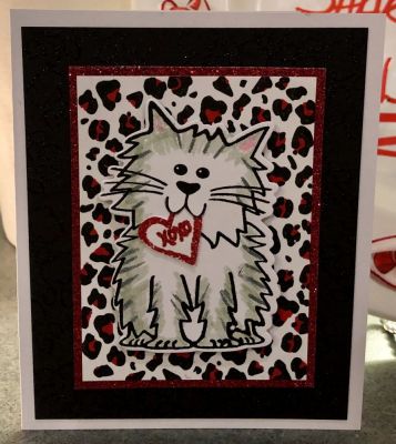 Valentines cat
