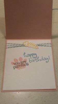 Kitten Around Birthday! (Inside)
Inside of Card.
