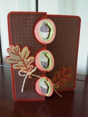 Acorn Fun
