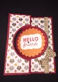 Fall hello friend card
