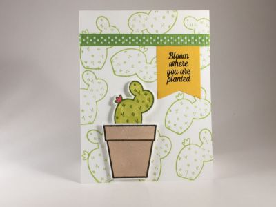 Bloom where you're planted card
Keywords: Bloom, succulent, dies