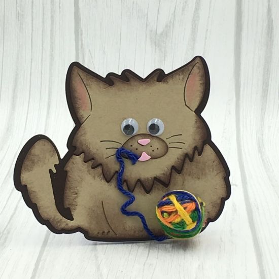 Fluffy Cat
