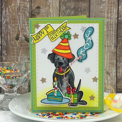 Happy 1st Birthday, Jack 
friends4Cookie, birthday4Cookie (party hat), Party Animals online class (balloon), foxes2stamp dies (alphabet), minidoublebanner2stamp, numbers4cake, cake2stamp, star dies, elves2stamp (gift), Stitched Rectangles, TSOL papers and ink
