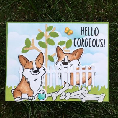 Hello Corgeous
corgis2stamp, Sizzix Flowers & Fence Stamp/Die Set, Sizzix Bird & Tree Stamp/Die Set, TSOL papers and inks
