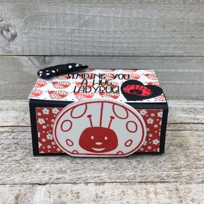 Sending a Ladybug Hug Box
ladybugpudgie14, SiIX Dotted Tectangles, TSOL papers and inks
