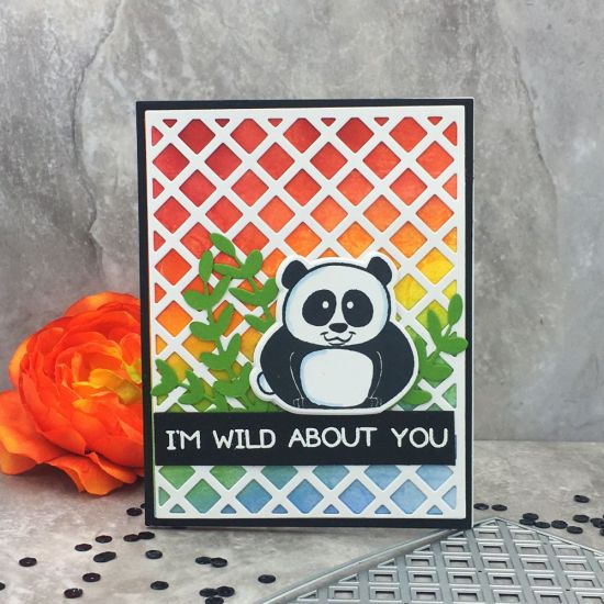 Wild About You
