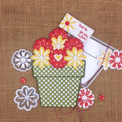 Flower Pot Fold-it
Flower Pot Fold-it, TSOL papers
