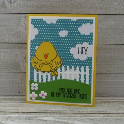 My Favorite Peep
birdpudgie 15, Sizzix Flowers & Fence Stamp/die set, Border Dies, TSOL papers and embellishments
