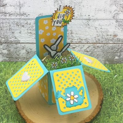 I Dig You Box Card
garden2stamp, TSOL Exclusive Box Card Die Set, TSOL Grass Die, TSOL papers and ink
