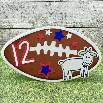 Big Football Game
Football Fold-it, morefarmanimals2stamp, Newport Alphabet, Star Dies, TSOL papers 
