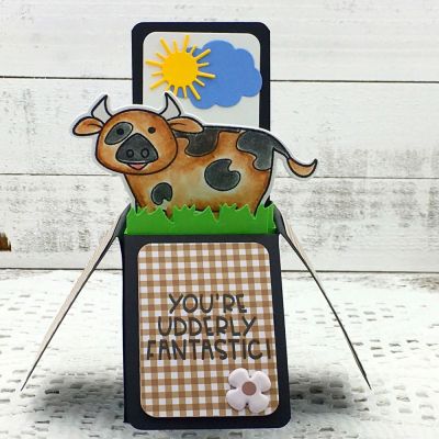 You’re Udderly Fantastic
morefarmanimals2stamp, border dies, Exclusive Box Card, Hot Air Balloon Die Set, TSOL papers & ink

