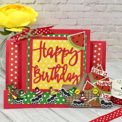 Happy Birthday Picnic
