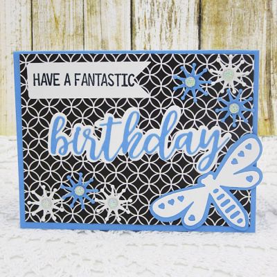 A Fantastic Birthday
Birthday Word Stamps & Die Set
Sizzix Triplits Dragonfly
Sizzix 3-D Flower Drop-ins
TSOL papers and ink
