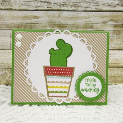 Make Today Amazing
succulents2stamp stamp/die set
Stitched Rectangle Dies
Scalloped Circle Dies
TSOL Cardstock and Patterned Paper
TSOL Ink
TSOL Enamel Dots
