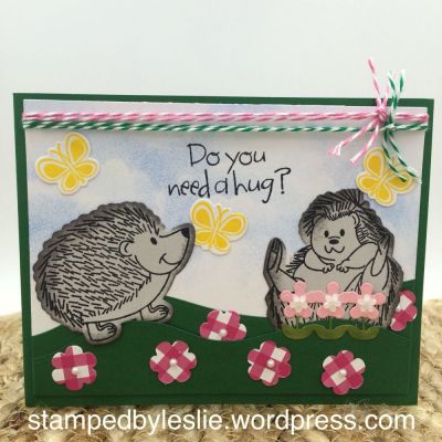 Need a Hug?
Mini Flower Dies
Friends Forever Step-Ups Card Die Set ( trio of flowers)
Sizzix/SB Windows Framelits with Stamps (butterflies)
