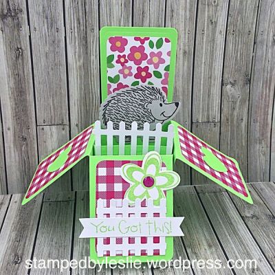 You Got This
Box Card Die Set
Sizzix/SB Flower & Fence stamp/die set
Heart Die
Sentiment on back of box: Don't sweat the small stuff!
Keywords: boxcarddies