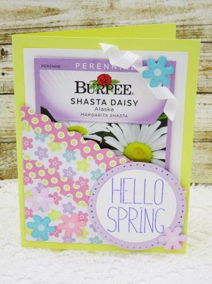 *Hello Spring Seed Packet Card Holder
Additional items: Sizzix Circle Dies, Sizzix Dotted Circles, Sizzix Border Dies
