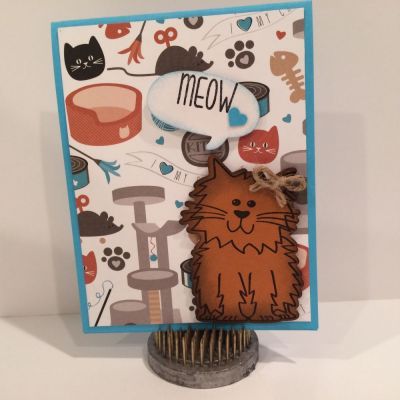 Meow!
