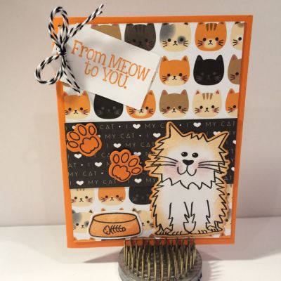 From Meow to You.
