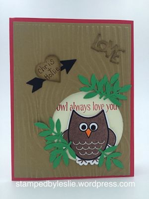 Owl in a Tree Valentine 
owls2love stamp & die set
Sizzix Circle Dies
Large Rectangle Dies
Heart Step-Ups Card Set (heart, Love)
*greenery from a punch*
Thanks for looking!
