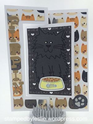 Pet Store GiftCard Holder
GiftCard/Rectangle Flip-Its Card Set
Stitched Rectangles Set
Thanks for looking!
