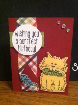 Purrfect Birthday
