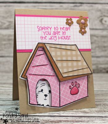 In the Dog House
Keywords: house4Cookie birthday4Cookie Cookie