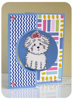 Dog-gone Awesome
Keywords: birthday friendship 